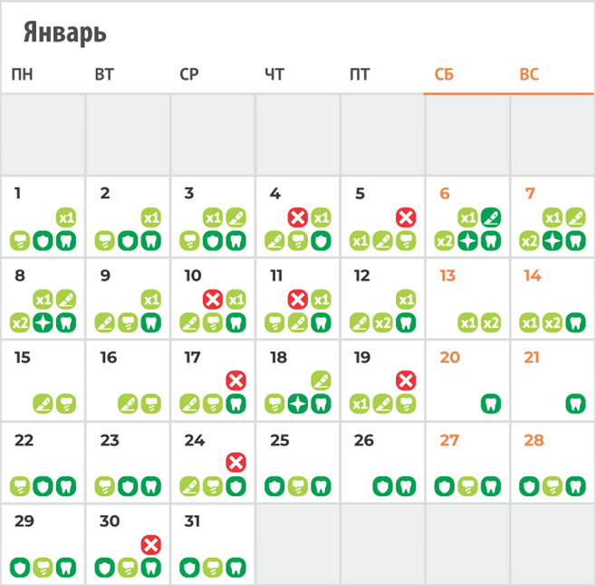 Лунный календарь лечения зубов - январь 2024