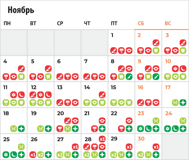 Лунный календарь лечения зубов - ноябрь 2024