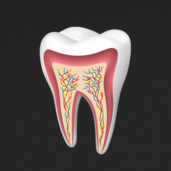 Почему болит зуб без нерва
