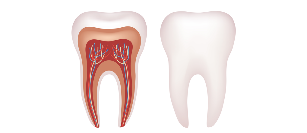 Почему болит зуб без нерва